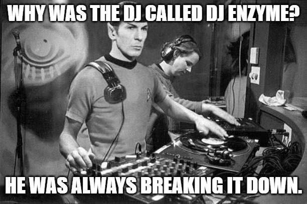 Why was the DJ called DJ
