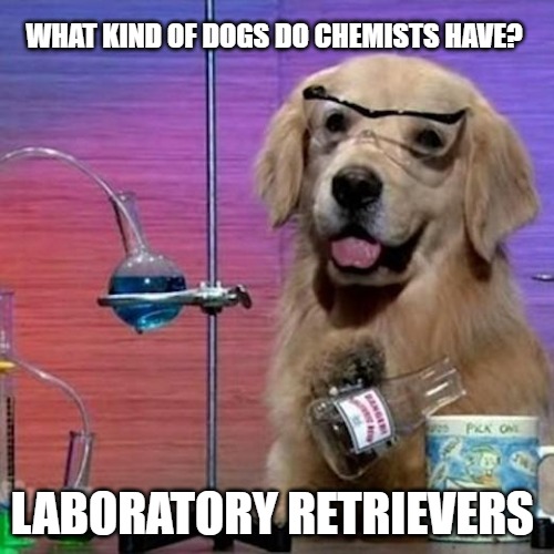 What kind of dogs do chemists
