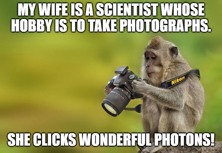 My wife is a scientist whose