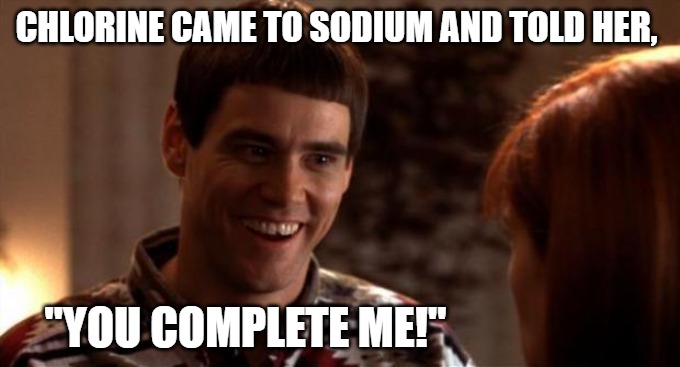 Chlorine came to sodium and told