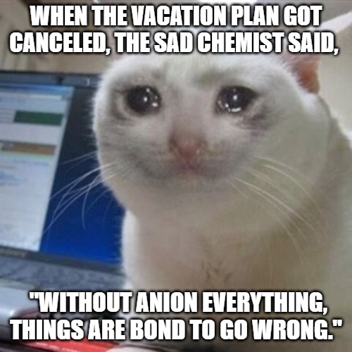 When the vacation plan got