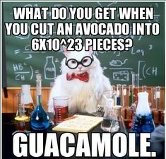 What Do You Get When You Cut An Avocado Into 6X10^23 Pieces?