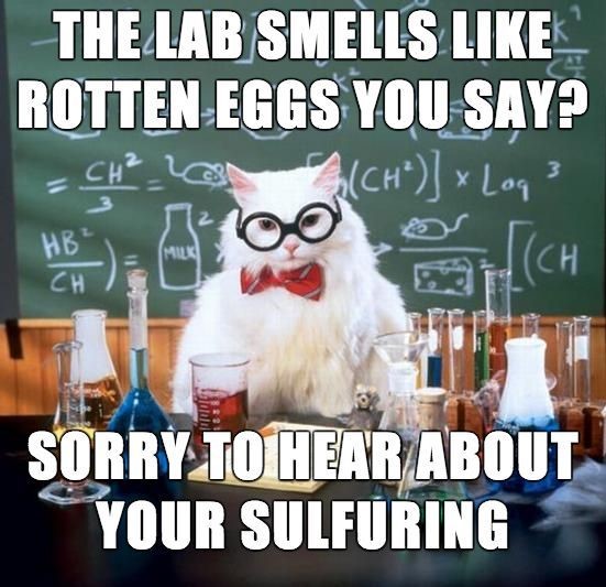 The Lab Smells Like Rotten Eggs You Say?