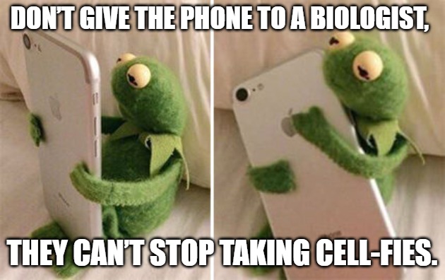 Don’t give the phone to a biologist, they can’t stop taking cell-fies.