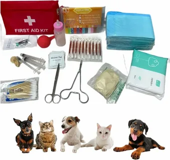 Essential Supplies Every Dog Owner Should Have