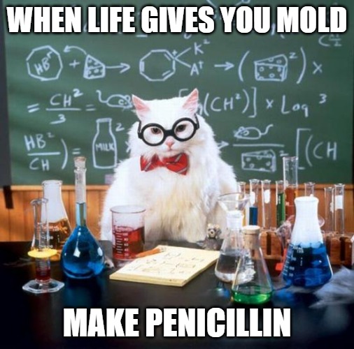 When life gives you mold, make penicillin