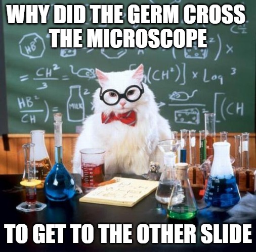 Why did the germ cross the microscope