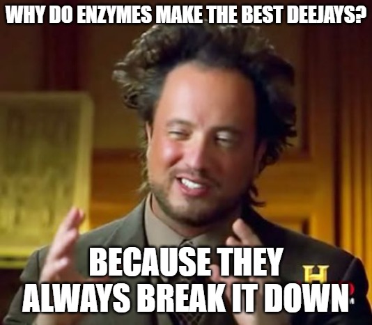 Why do enzymes make the best deejays