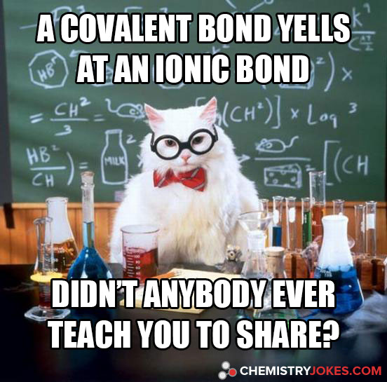 A Covalent Bond Yells At An Ionic Bond