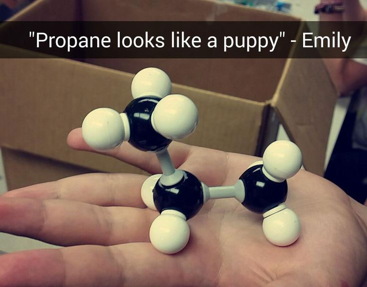 propane looks like a puppy