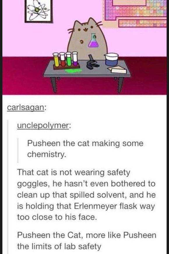 Pusheen The Cat Making Some Chemistry