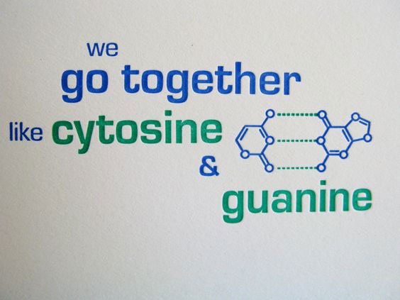 We Go Together Like Cytosine & Guanine
