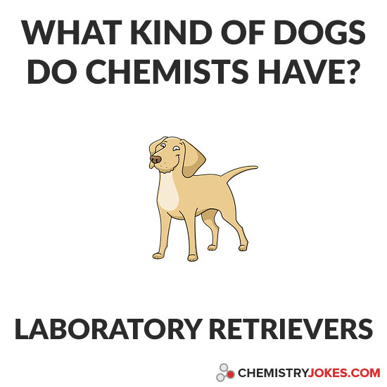 What Kind Of Dogs Do Chemists Have?