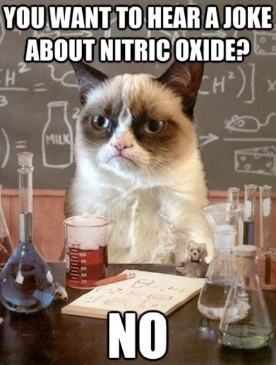 you want to hear a joke about nitric oxide